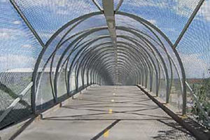 Snake Bridge in Tucson, AZ